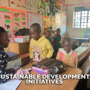 Sustainable Development Initiatives